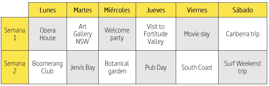 Programa social Sydney